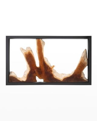 Framed Root Wall Art