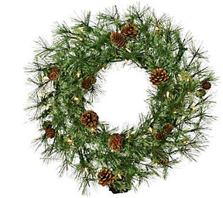 Fraser Hill Farm 24-in Wreath w/Pinecones & War m White LED