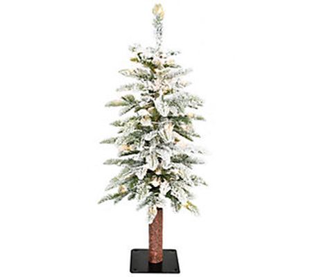 Fraser Hill Farm 3-Ft. Snowy Downswept Tree wit h Clear Lights