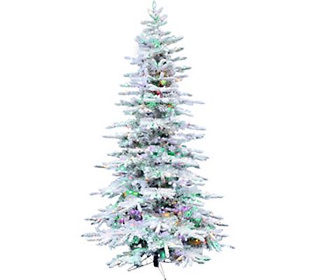 Fraser Hill Farm 6.5 Ft Flocked Mountain Pine C hristmas Tree