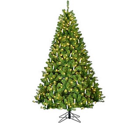 Fraser Hill Farm 6.5' Vintage Christmas Tree wi th Candles