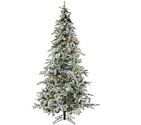 Fraser Hill Farm 9' Flocked Mountain Pine Multi color Lit Tree