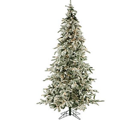 Fraser Hill Farm 9' Flocked Mountain Pine Smart Prelit Tree