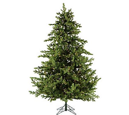 Fraser Hill Farm 9' Foxtail Pine Smart Prelit C hristmas Tree