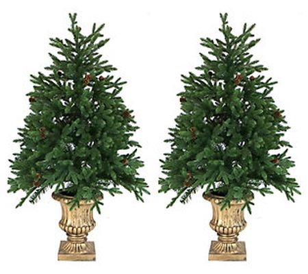 Fraser Hill Farm Set of Two 4-Foot Noble Fir Li t Trees