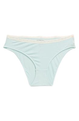 Free People Intimately FP Lace Trim Briefs in Harbor Gray