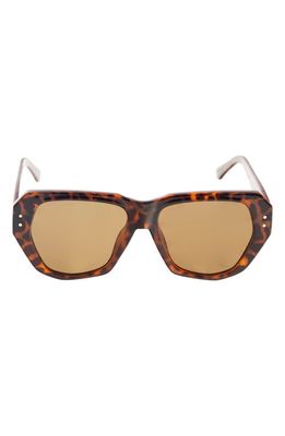 French Connection 52mm Aviator Sunglasses in Tortoise