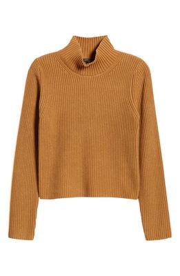 French Connection Mozart Contrast Stripe Turtleneck Sweater in Tobacco Br