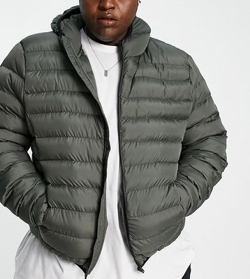 French Connection Plus puffer jacket with hood in khaki-Green
