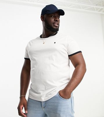 French Connection Plus ringer t-shirt in white & navy