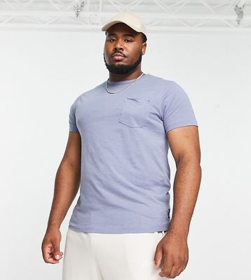 French Connection Plus textured t-shirt in light blue