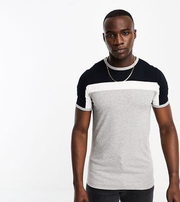 French Connection Tall color block t-shirt in light gray, white & navy