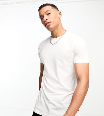 French Connection Tall crew neck t-shirt in white