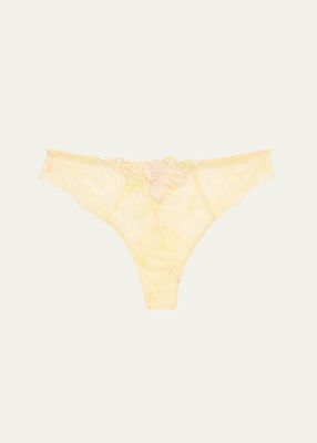 Frisson d'Or Embroidered Lace Thong