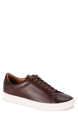 Frye Astor Leather Sneaker in Brown