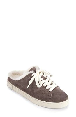 Frye Ivy Genuine Shearling Sneaker Mule in Medium Grey Suede Leather