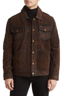 Frye Leather Trucker Jacket in Dark Brown