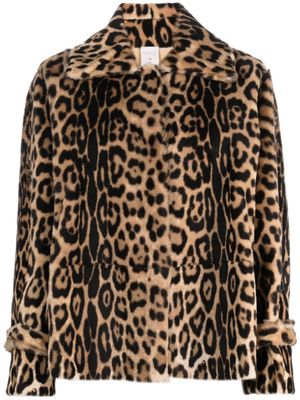 FURLING BY GIANI Alison leopard-print jacket - Brown