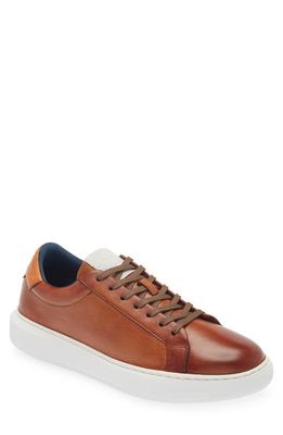 G Brown Puff Low Top Leather Sneaker in Tan 