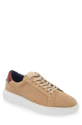 G Brown Puff Suede Low Top Sneaker in Sand 