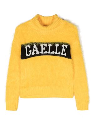 Gaelle Paris Kids logo intarsia-knit roll-neck jumper - Yellow