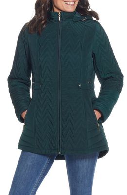 Gallery Hooded Quilted Jacket in Dark Hunter 