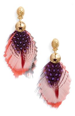 Gas Bijoux Bermude Feather Hoop Earrings in Light Pink
