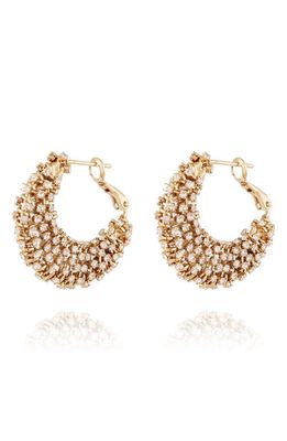 Gas Bijoux Izzia Crystal Embellished Hoop Earrings in Gold/clear