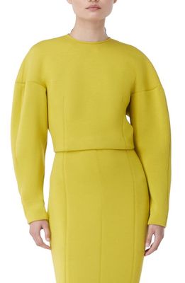 GAUGE81 Iringa Cotton Blend Sweater in Amber