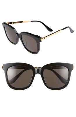 GENTLE MONSTER Absente 54mm Sunglasses in Black/black