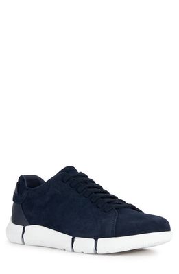 Geox Adacter Sneaker in Navy