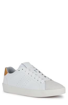 Geox Affile Sneaker in White/Yellow