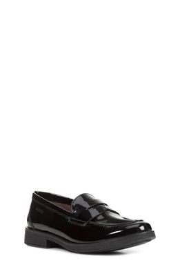 Geox Agata 1 Penny Loafer in Black Oxford