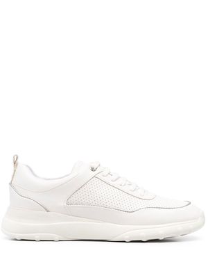 Geox Alleniee leather sneakers - White