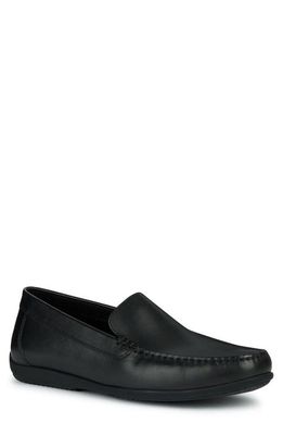 Geox Ascanio Loafer in Black
