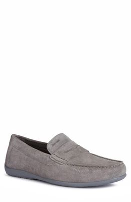 Geox Ascanio Penny Loafer in Grey