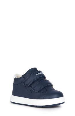 Geox Biglia Sneaker in Dark Blue