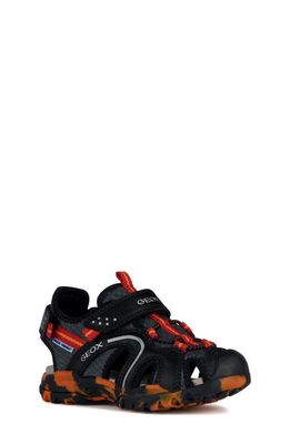 Geox Borealis Sneaker in Black/Red
