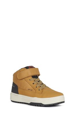 Geox Bunshee Amphibox High Top Sneaker in Dark Yellow/Black