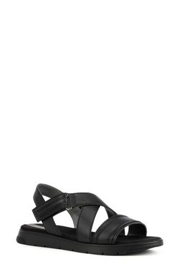 Geox Dandra Strappy Sandal in Black