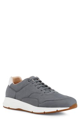 Geox Ghiacciaio Sneaker in Grey