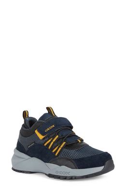 Geox Heevok Sneaker in Navy/Yellow