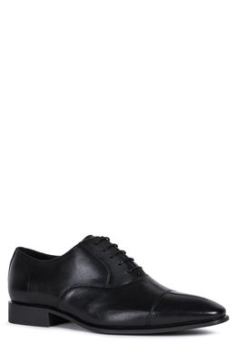 Geox High Life Cap Toe Oxford in Black