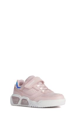Geox Illuminus Light-Up Sneaker in Rose/White