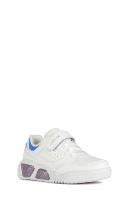 Geox Illuminus Light-Up Sneaker in White/Lilac