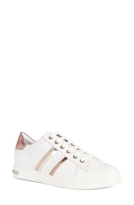 Geox Jaysen Low Top Sneaker in White/Rose Gold