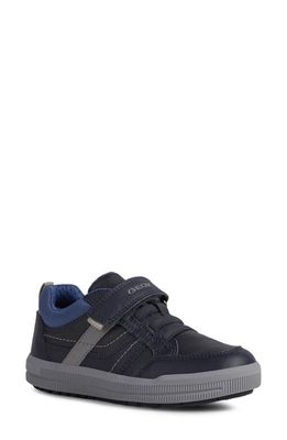 Geox Kids' Arzach Sneaker in Navy/Grey