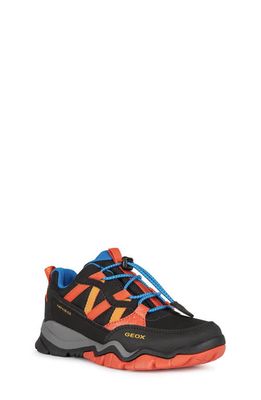 Geox Kids' Montrack Amphibiox Waterproof Sneaker in Black/Orange