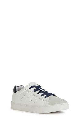 Geox Kids' Nashik Sneaker in White/Navy