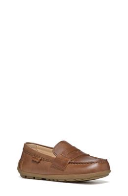 Geox Kids' New Fast Penny Loafer in Coffee